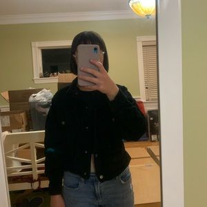 Black velvet pull and bear jacket.